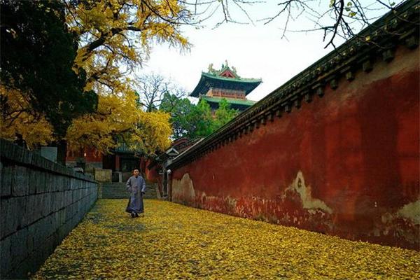 北魏千年佛塔分隔两岸70余年 翘首企盼“团圆合璧” 北魏千年佛塔分隔两岸70余年 翘首企盼“团圆合璧”