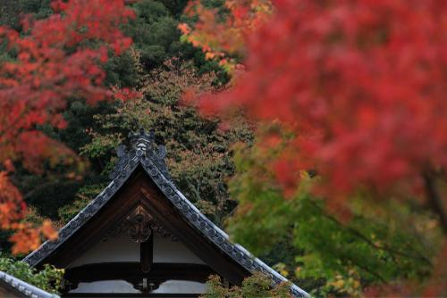 一日禅：时间最公平合理