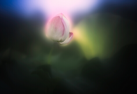 界诠法师:去寺院听法就像给汽车加油 界诠法师:去寺院听法就像给汽车加油