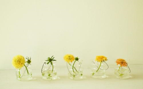 一日禅 | 生活并不完全是你看到的样子