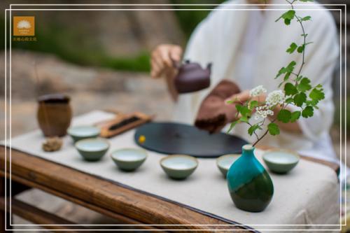 品一杯禅茶 参一种禅机 品一杯禅茶 参一种禅机