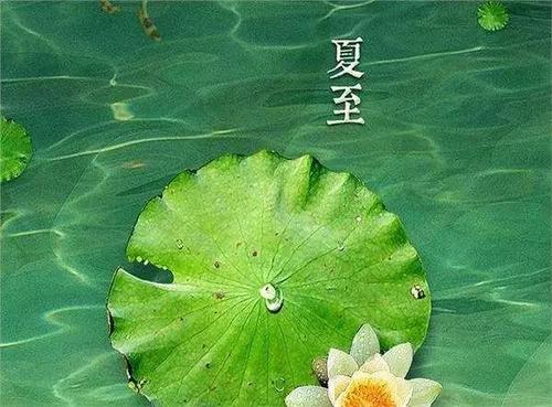 今日夏至，盛极必衰，安心为上！
