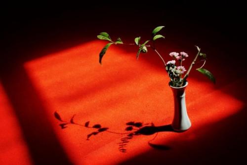 欣赏一个人，始于颜值，敬于才华，合于性格，久于善良，终于人品