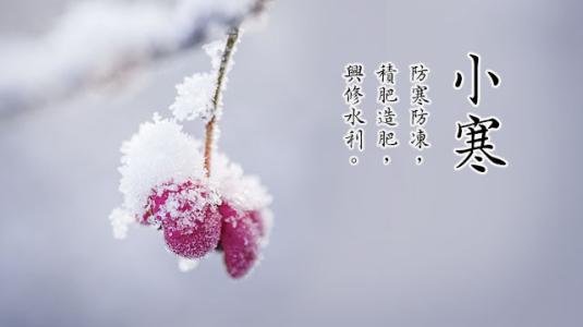 小寒 | 一番春意换年芳，蛾儿雪柳风光