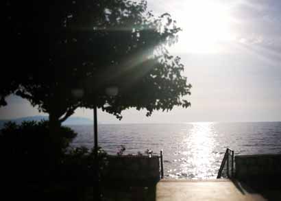 一日禅：回归自心