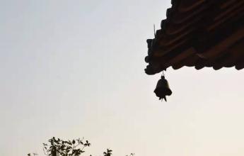 如何消除我执、贪欲和妄想？