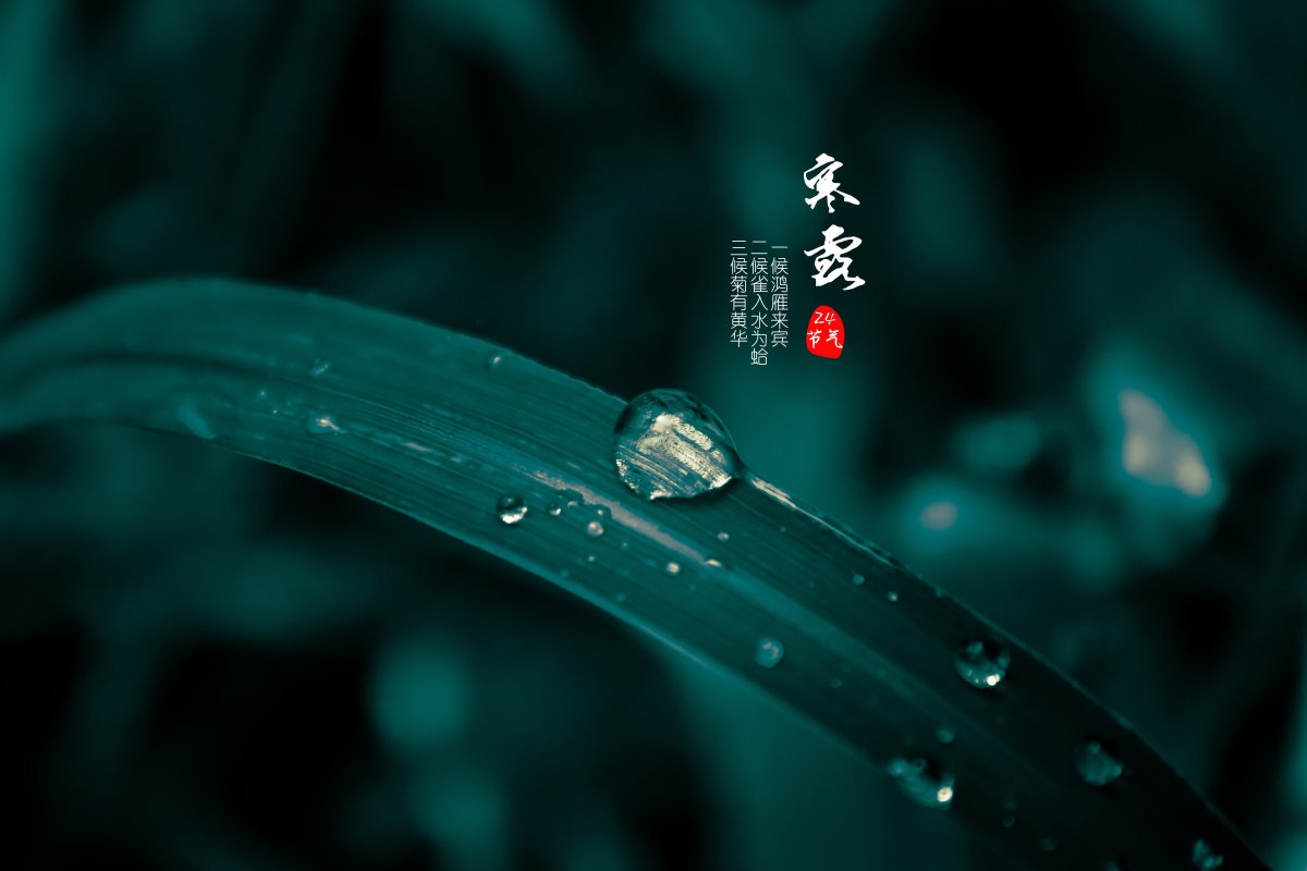 今日寒露，你必须知道的养生知识！