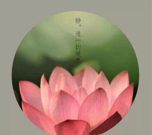 一日禅 | 静，通一切境界