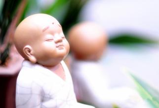 一日禅:别把欲望和理想混为一谈 一日禅:别把欲望和理想混为一谈