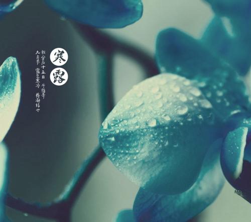 寒露, 全家一定要这么吃, 保你百病全消, 一年不生病！