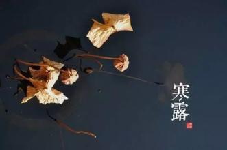今日寒露，深秋寒露重，警惕寒伤人！养阴生津防凉燥！