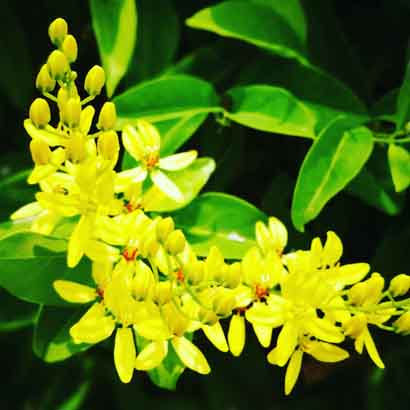 一日禅：这才是真正解脱