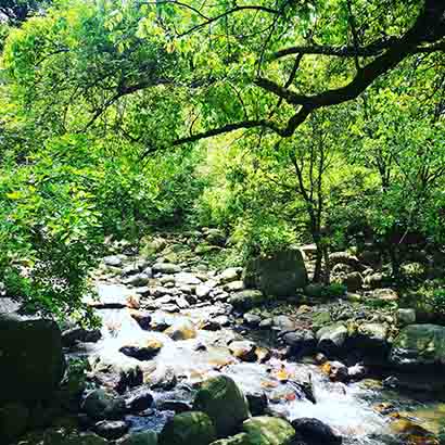 一日禅：懒惰 傲气