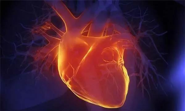 癌症可以自愈？美国科学家惊人发现~