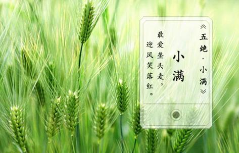 今日小满 | 物至于此，小得盈满！